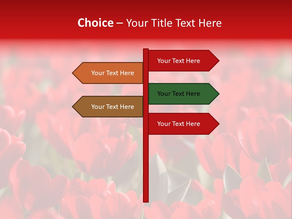 Red Tulips PowerPoint Template