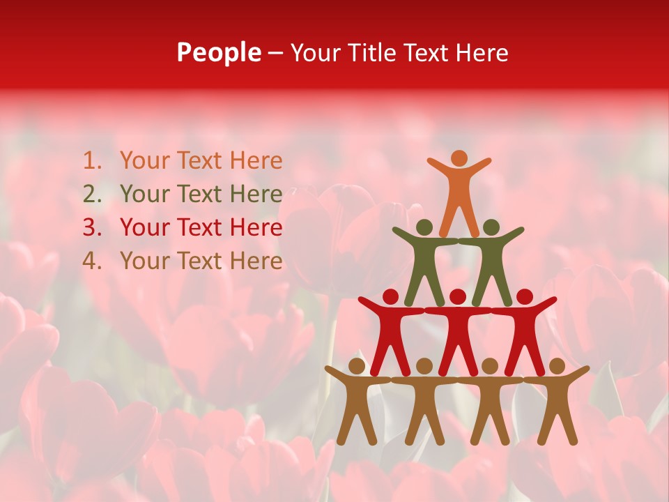 Red Tulips PowerPoint Template