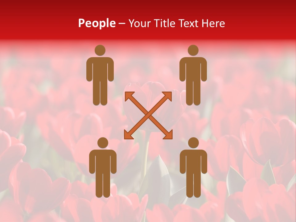 Red Tulips PowerPoint Template