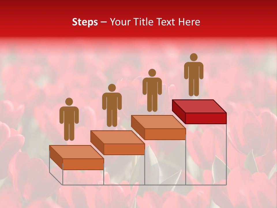 Red Tulips PowerPoint Template