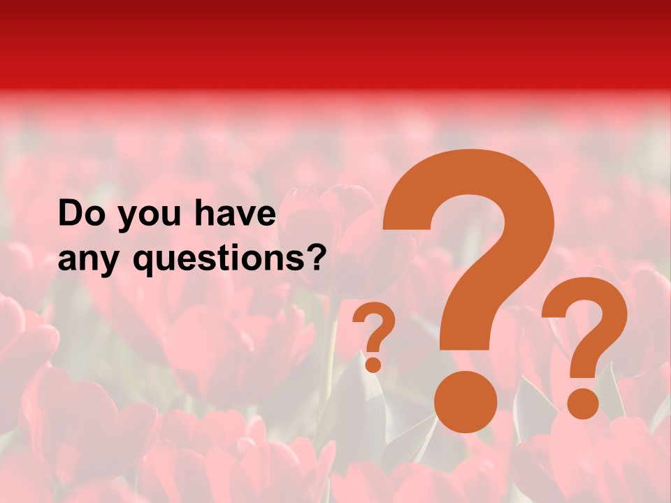 Red Tulips PowerPoint Template