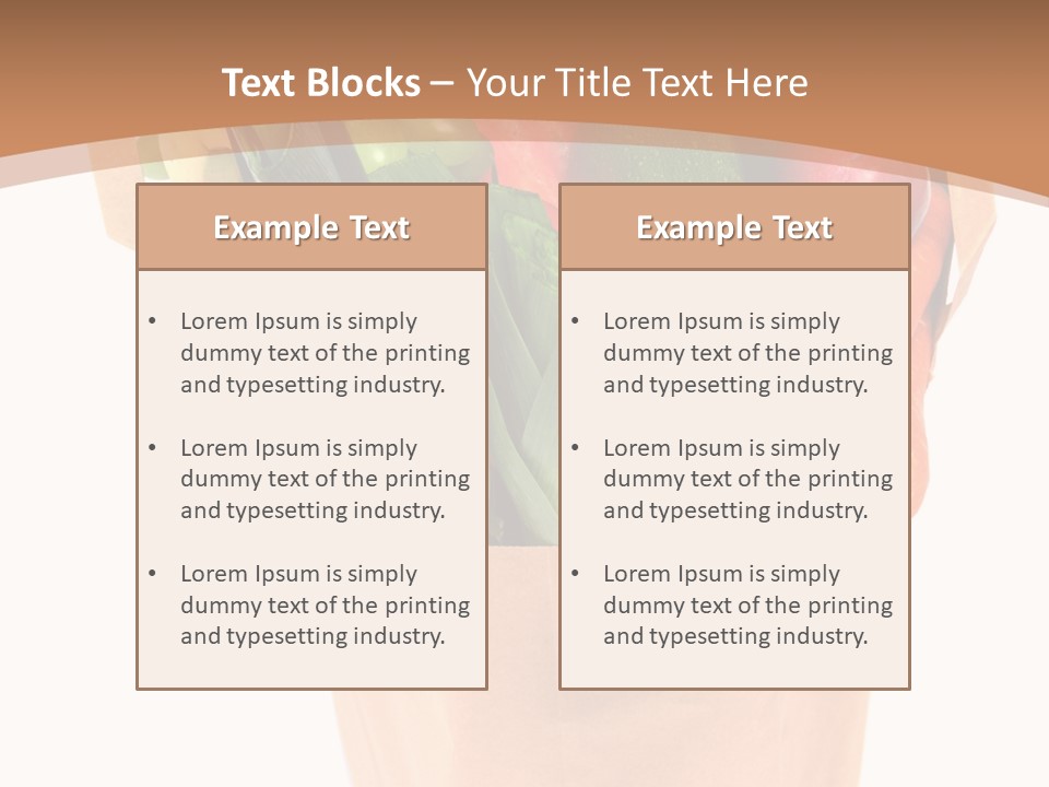 Isolated Brown Shopping PowerPoint Template