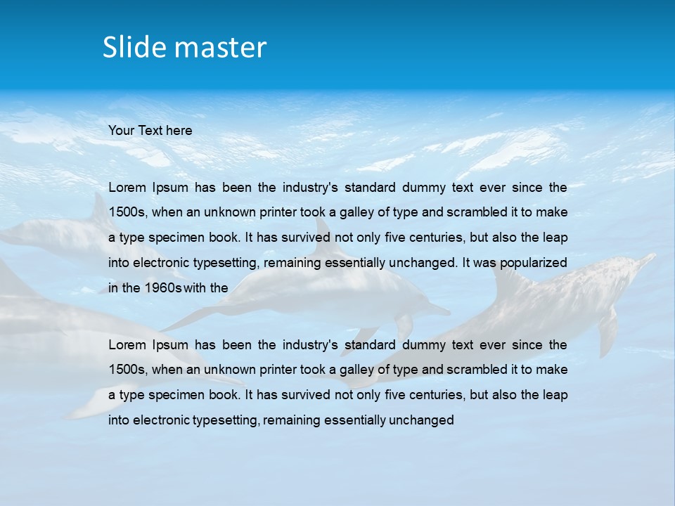 Dolphins Underwater PowerPoint Template