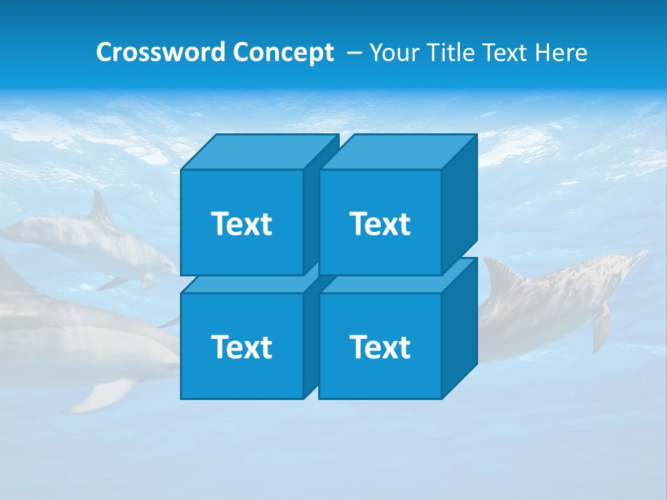 Dolphins Underwater PowerPoint Template