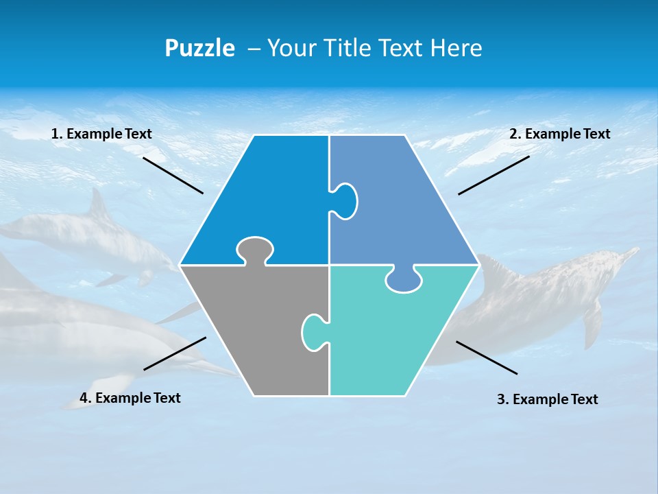 Dolphins Underwater PowerPoint Template