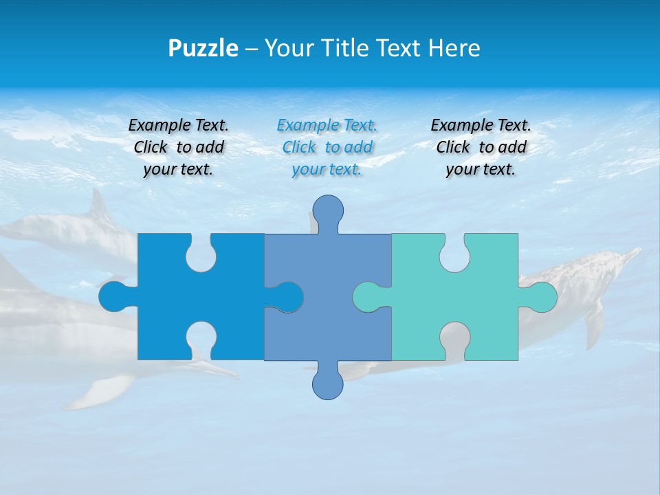 Dolphins Underwater PowerPoint Template