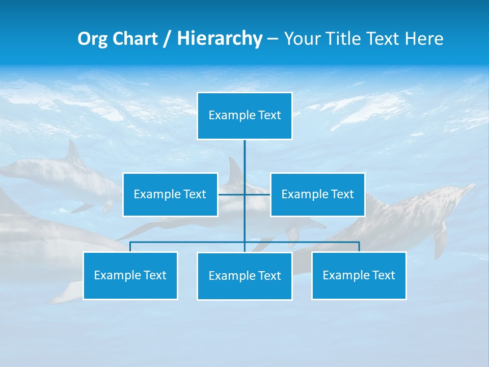 Dolphins Underwater PowerPoint Template