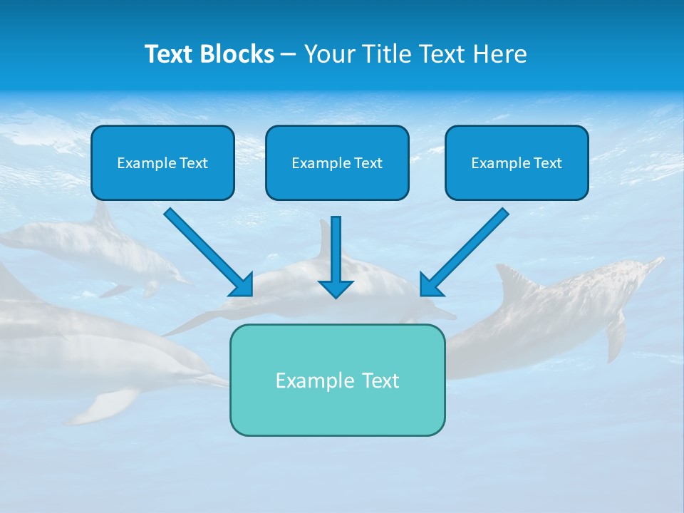 Dolphins Underwater PowerPoint Template