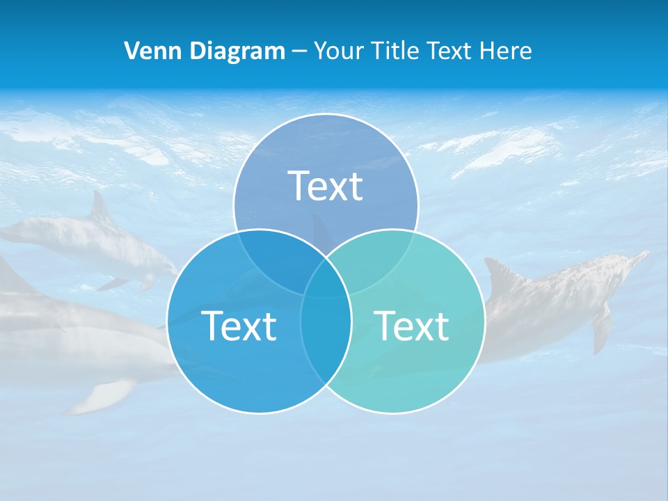 Dolphins Underwater PowerPoint Template