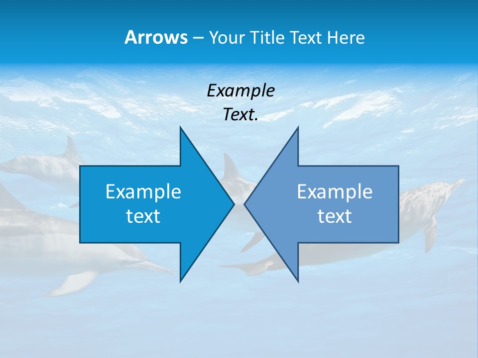 Dolphins Underwater PowerPoint Template