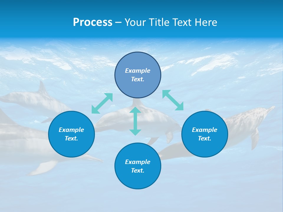 Dolphins Underwater PowerPoint Template