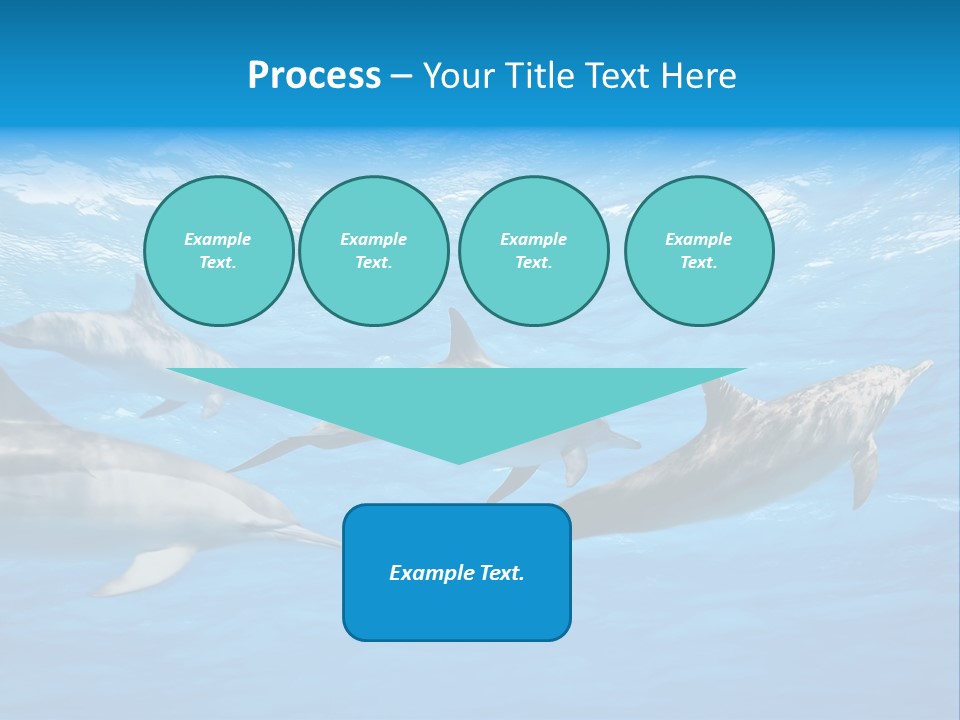 Dolphins Underwater PowerPoint Template