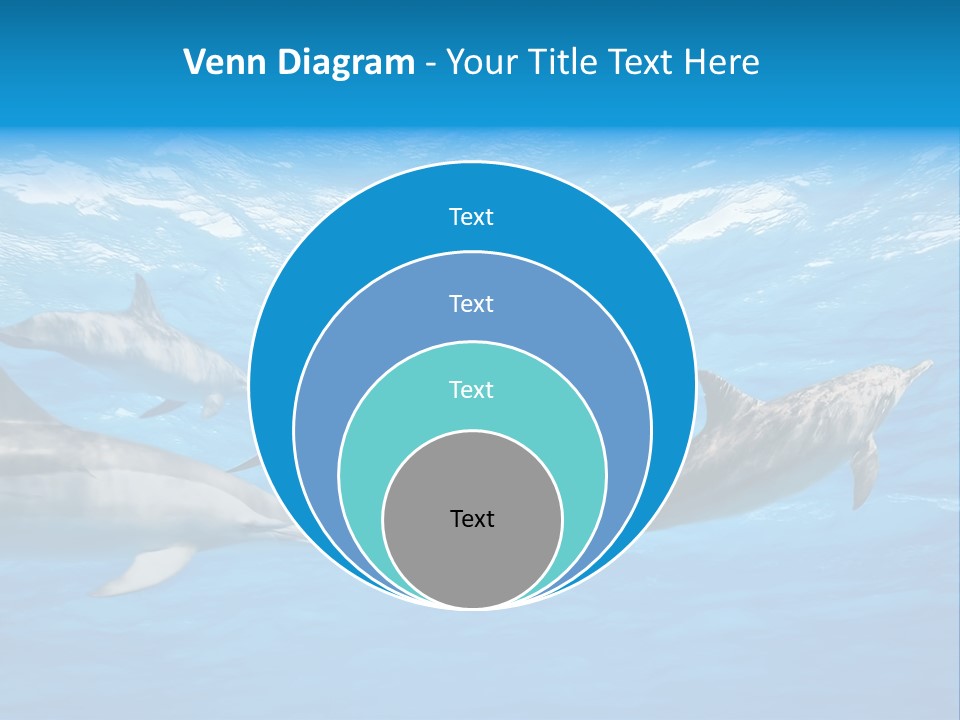 Dolphins Underwater PowerPoint Template
