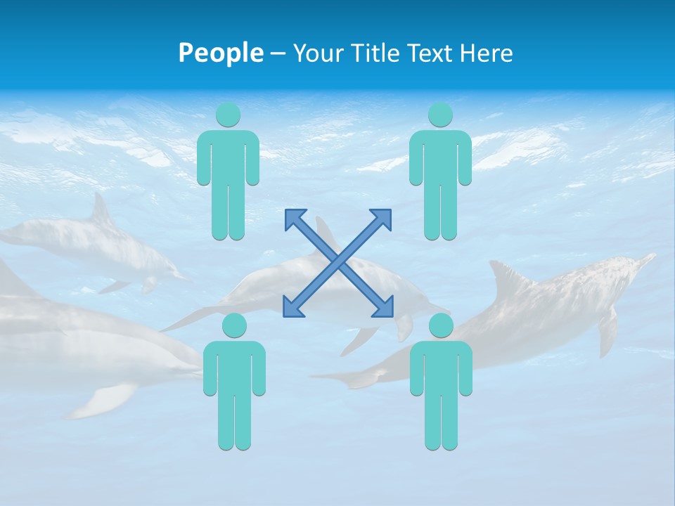 Dolphins Underwater PowerPoint Template