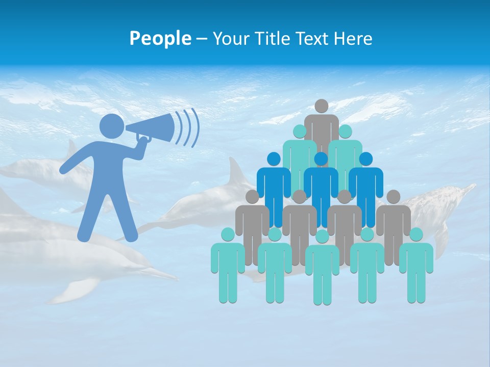 Dolphins Underwater PowerPoint Template