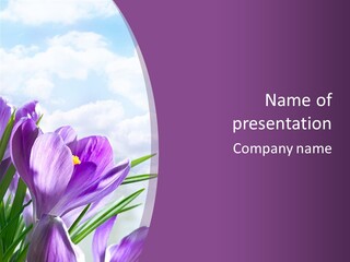 Lavender Flower PowerPoint Template