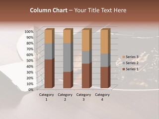 Chocolate Cake PowerPoint Template