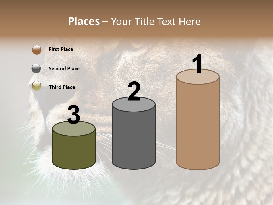 Leo Lioness PowerPoint Template