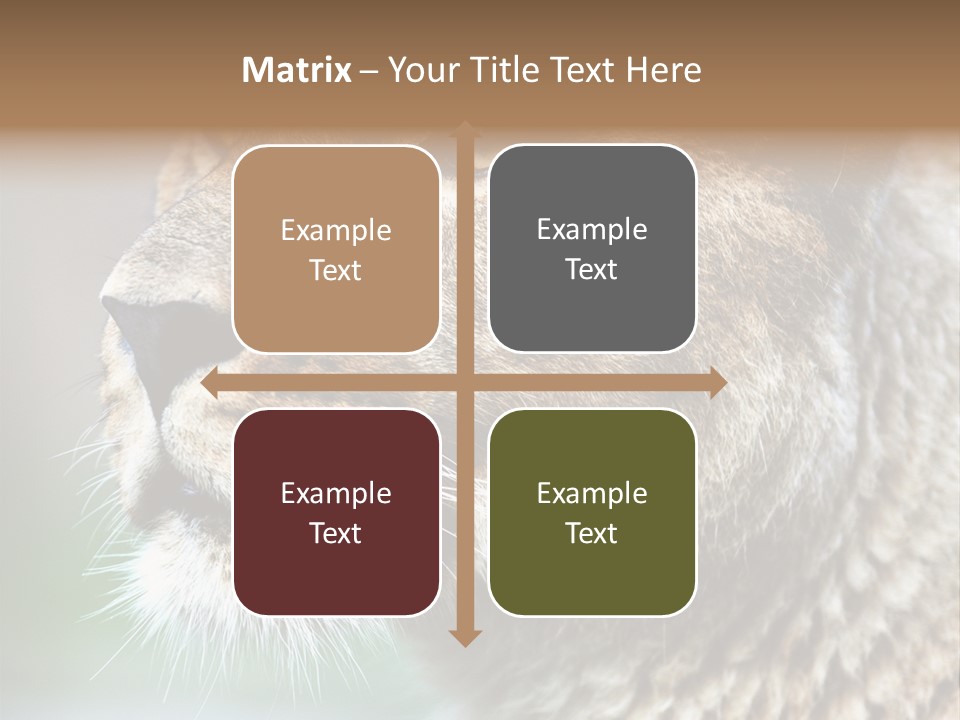 Leo Lioness PowerPoint Template