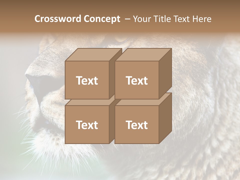 Leo Lioness PowerPoint Template