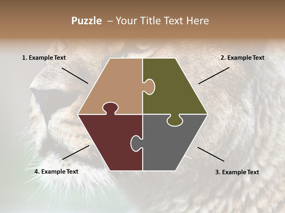 Leo Lioness PowerPoint Template
