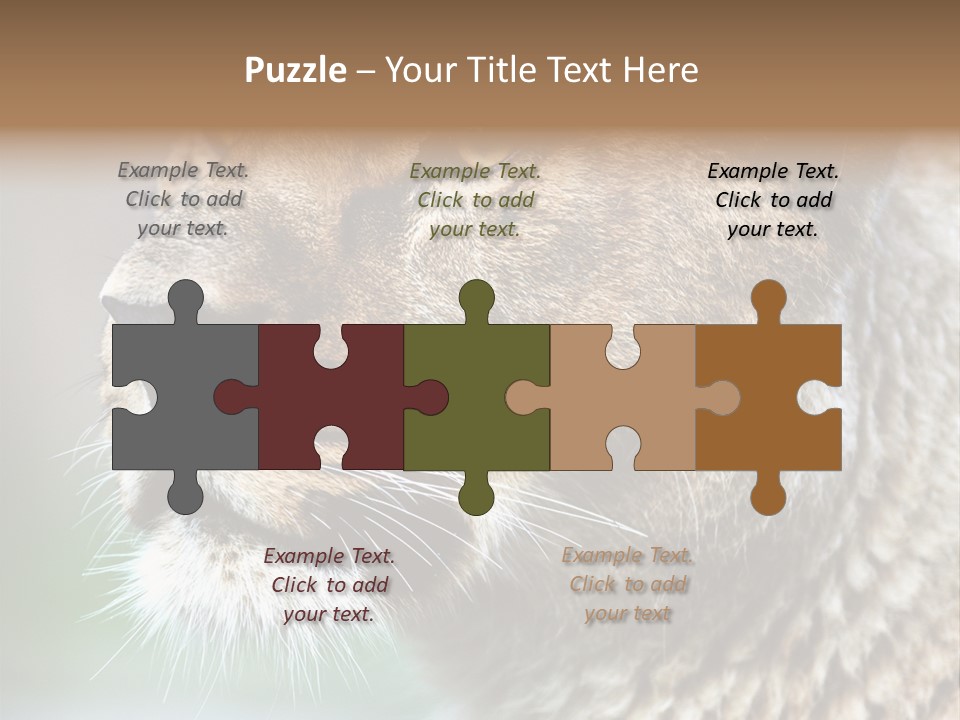 Leo Lioness PowerPoint Template