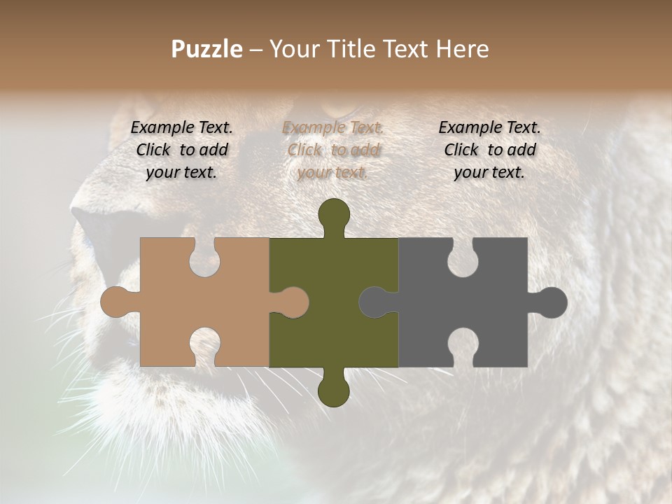 Leo Lioness PowerPoint Template