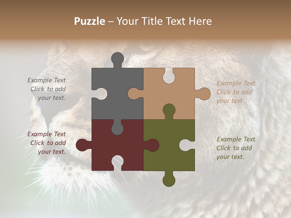Leo Lioness PowerPoint Template