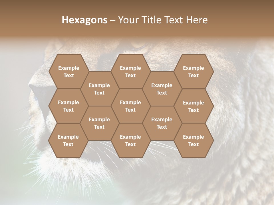 Leo Lioness PowerPoint Template