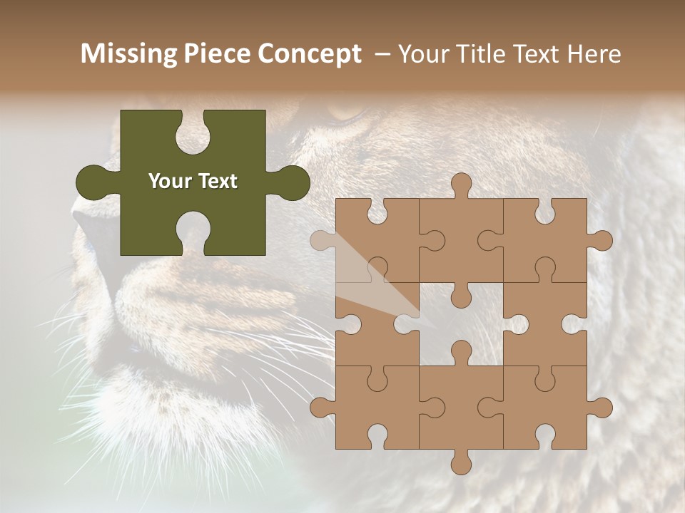 Leo Lioness PowerPoint Template