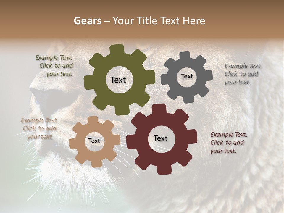 Leo Lioness PowerPoint Template