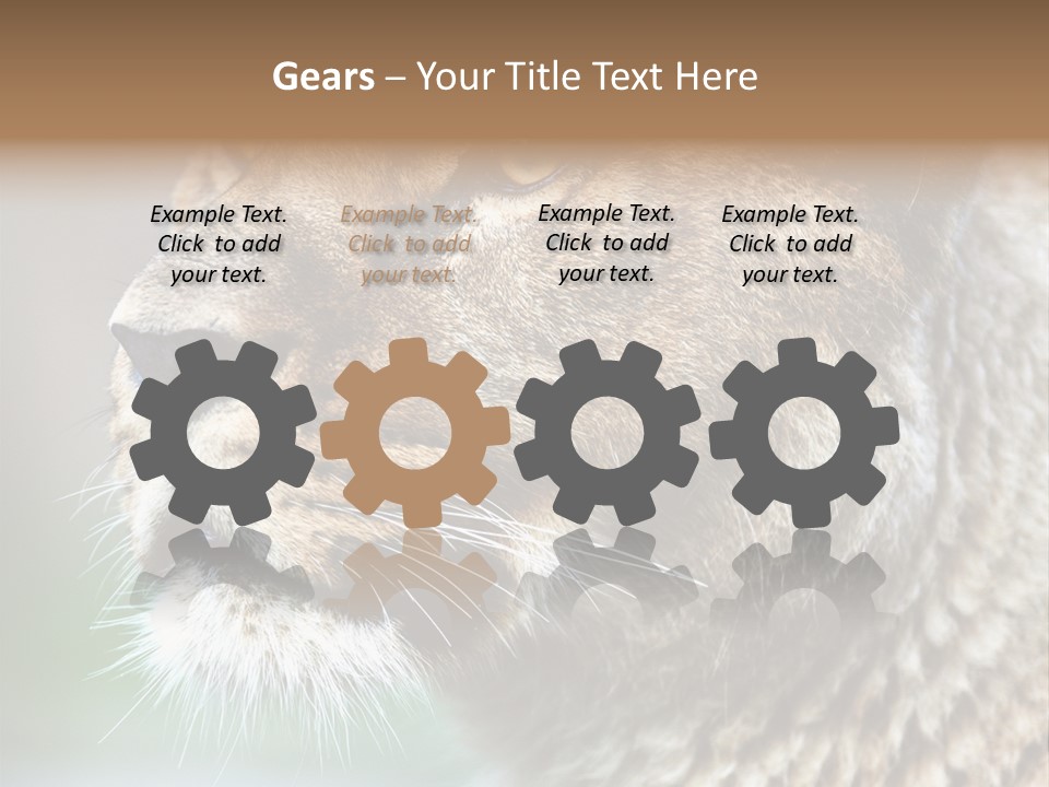 Leo Lioness PowerPoint Template