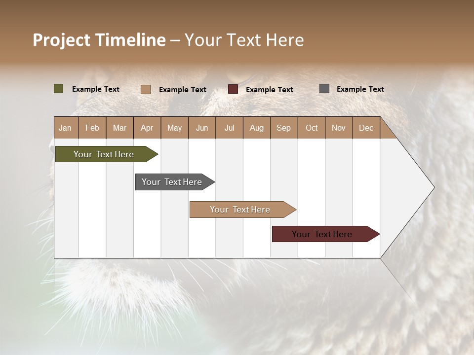 Leo Lioness PowerPoint Template