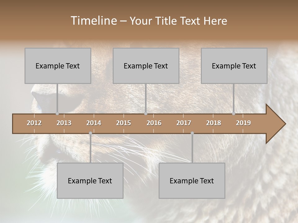Leo Lioness PowerPoint Template