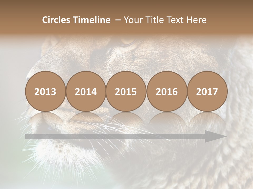 Leo Lioness PowerPoint Template