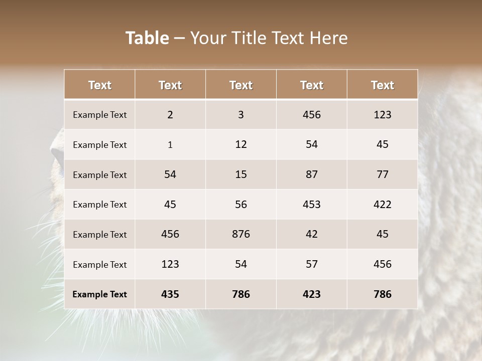 Leo Lioness PowerPoint Template