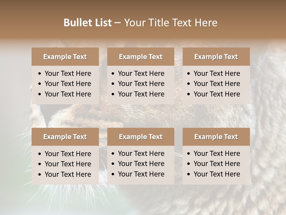 Leo Lioness PowerPoint Template