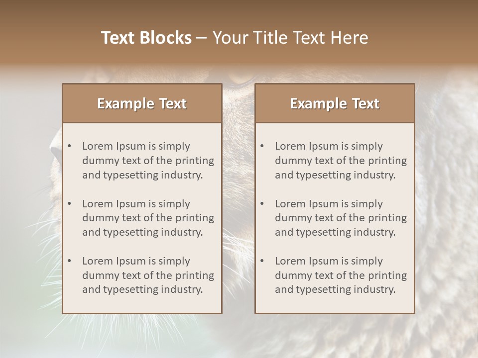 Leo Lioness PowerPoint Template