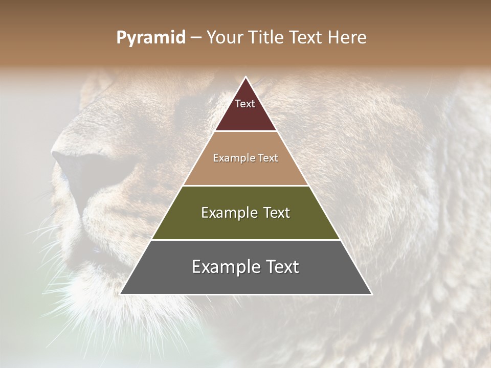 Leo Lioness PowerPoint Template