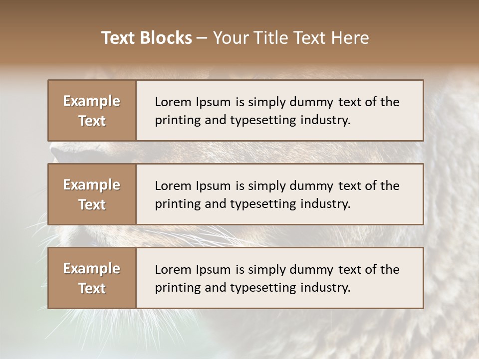 Leo Lioness PowerPoint Template
