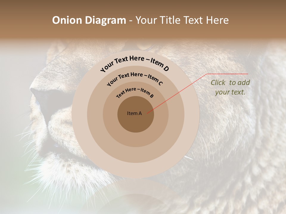 Leo Lioness PowerPoint Template