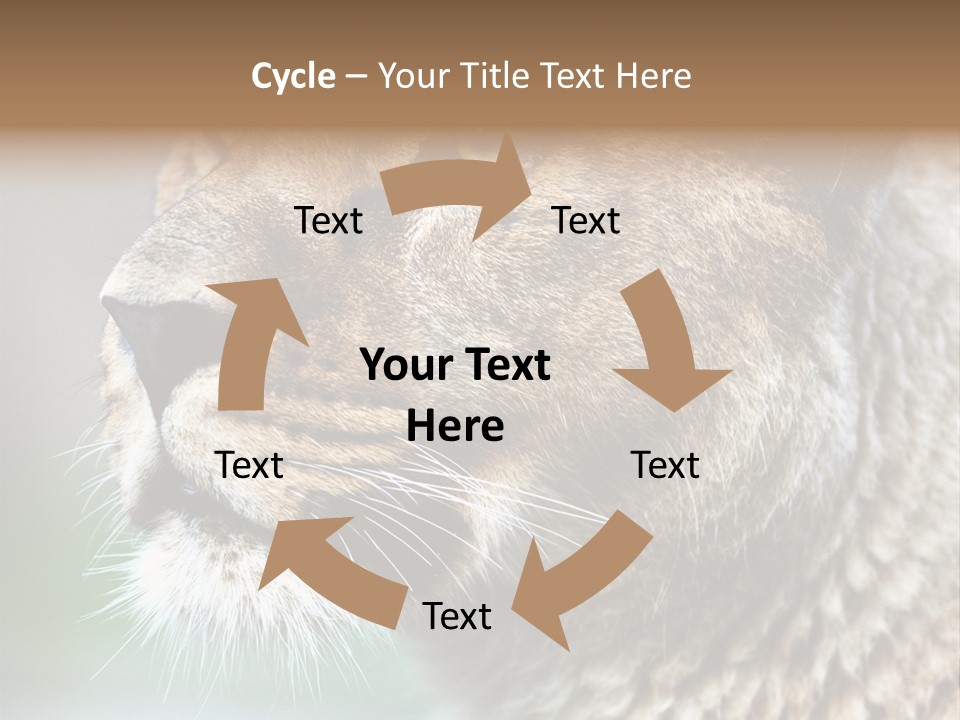 Leo Lioness PowerPoint Template
