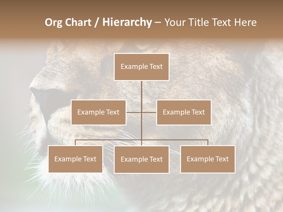 Leo Lioness PowerPoint Template