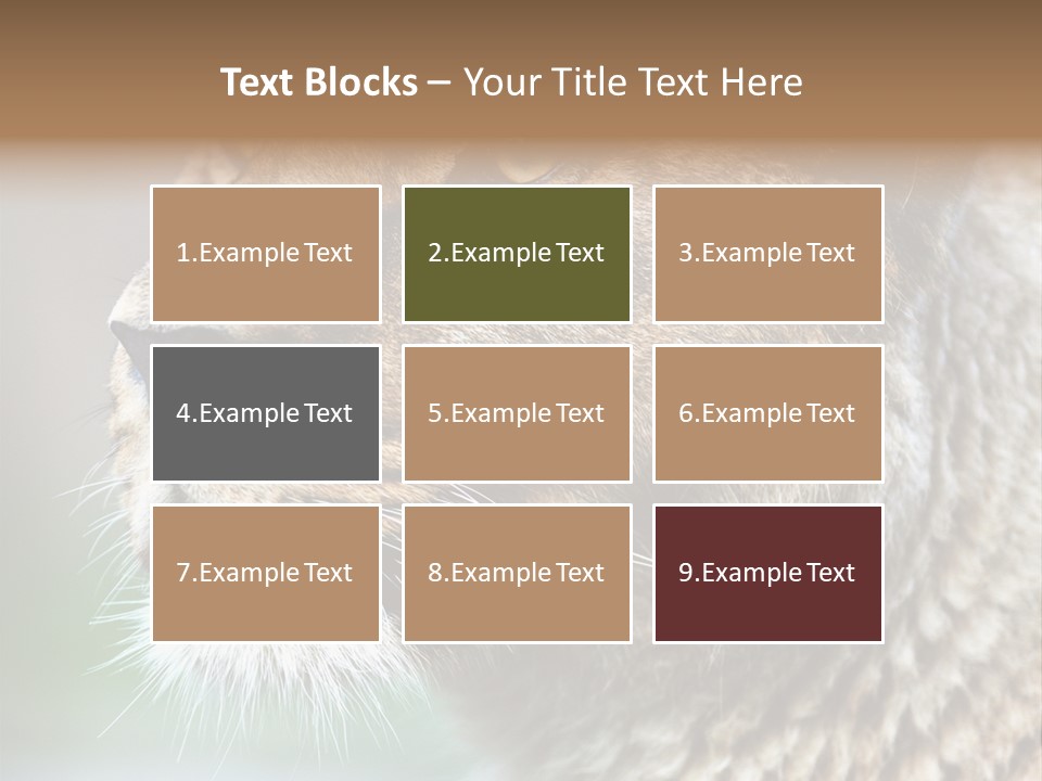 Leo Lioness PowerPoint Template
