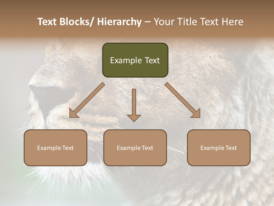 Leo Lioness PowerPoint Template