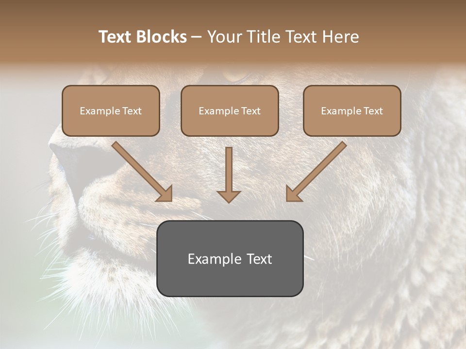 Leo Lioness PowerPoint Template