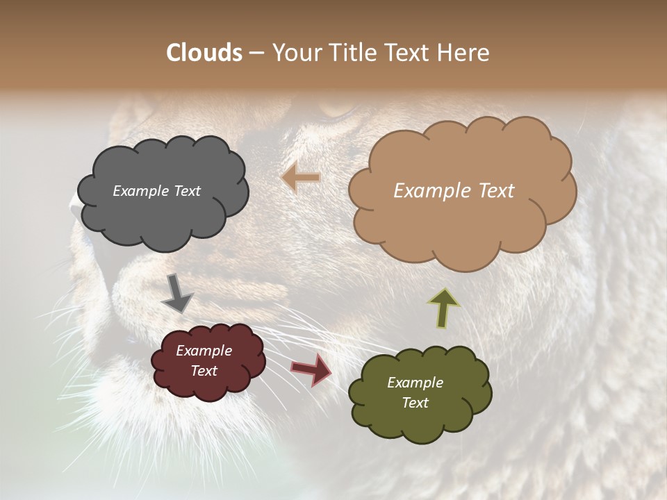 Leo Lioness PowerPoint Template