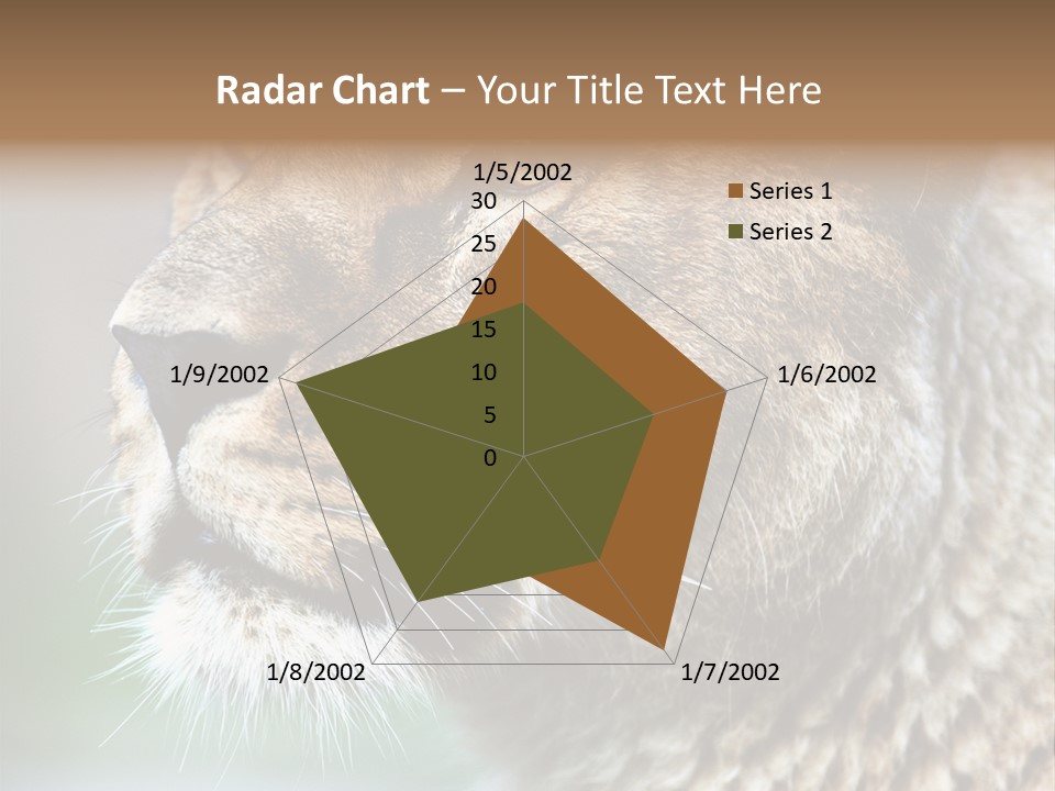 Leo Lioness PowerPoint Template