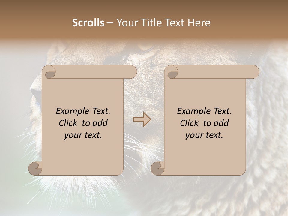 Leo Lioness PowerPoint Template
