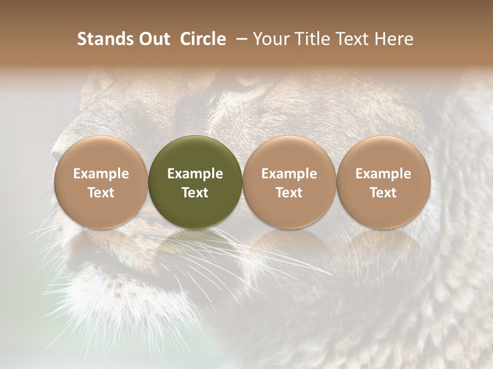 Leo Lioness PowerPoint Template